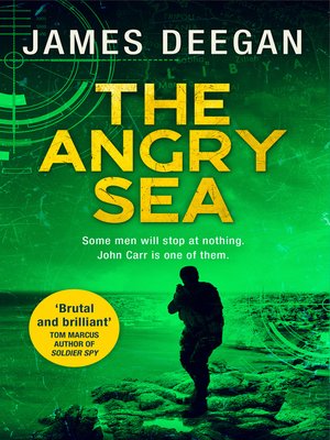 cover image of The Angry Sea
